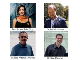 Descubren un mecanismo por el que el metabolismo de las células inmunitarias regula la obesidad Los doctores Rebeca Acín-Pérez, José Antonio Enríquez, David Sancho y Salvador Iborra