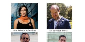 Descubren un mecanismo por el que el metabolismo de las células inmunitarias regula la obesidad Los doctores Rebeca Acín-Pérez, José Antonio Enríquez, David Sancho y Salvador Iborra