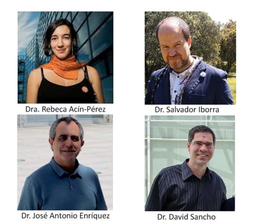 Descubren un mecanismo por el que el metabolismo de las células inmunitarias regula la obesidad Los doctores Rebeca Acín-Pérez, José Antonio Enríquez, David Sancho y Salvador Iborra