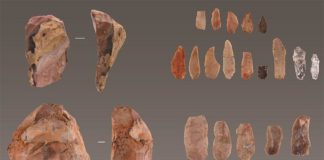 Los humanos modernos llegaron a la Europa más occidental 5.000 años antes de lo que se pensaba Herramientas de piedra de seres humanos modernos descubiertas en Lapa do Picareiro en el centro de Portugal. Crédito: Jonathan Haws.