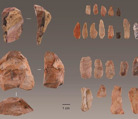 Los humanos modernos llegaron a la Europa más occidental 5.000 años antes de lo que se pensaba Herramientas de piedra de seres humanos modernos descubiertas en Lapa do Picareiro en el centro de Portugal. Crédito: Jonathan Haws.