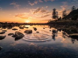 La síntesis de cisteína fue un paso clave en el origen de la vida Lago de agua dulce al anochecer