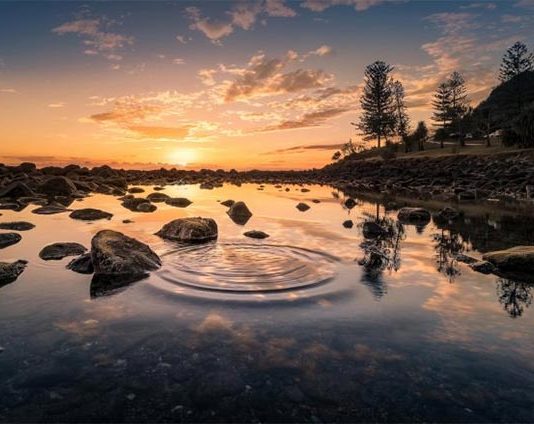 La síntesis de cisteína fue un paso clave en el origen de la vida Lago de agua dulce al anochecer