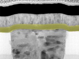 Nuevo nanodispositivo actúa casi de manera idéntica a una neurona Micrografía electrónica de la neurona artificial (nanodispositivo). La capa de dióxido de niobio (amarilla) confiere al dispositivo un comportamiento similar al de una neurona