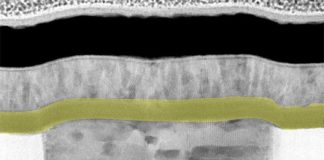 Nuevo nanodispositivo actúa casi de manera idéntica a una neurona Micrografía electrónica de la neurona artificial (nanodispositivo). La capa de dióxido de niobio (amarilla) confiere al dispositivo un comportamiento similar al de una neurona