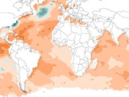 Las olas de calor marinas son 20 veces más frecuentes debido al ser humano Olas de calor marinas