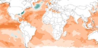Las olas de calor marinas son 20 veces más frecuentes debido al ser humano Olas de calor marinas
