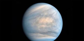Detectan el gas fosfina en Venus, un indicador de vida microbiana en la Tierra Venus