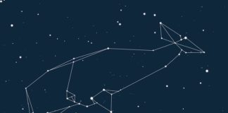 El ensayo Llamadme Ismael llega a las librerías, de la mano de Ediciones Siruela