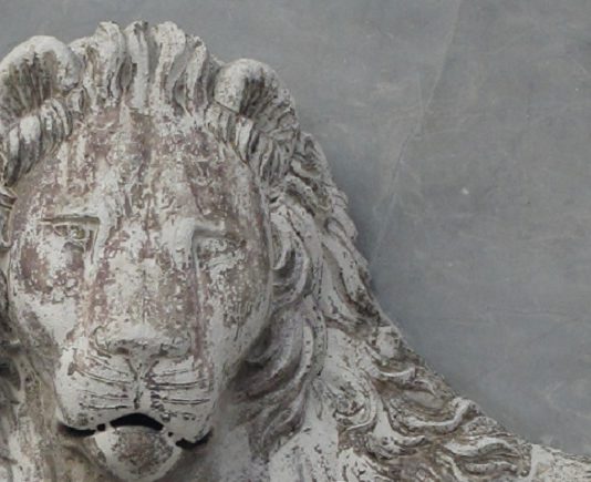 Ediciones Siruela publica Venecia. El león, la ciudad y el agua, de Cees Nooteboom