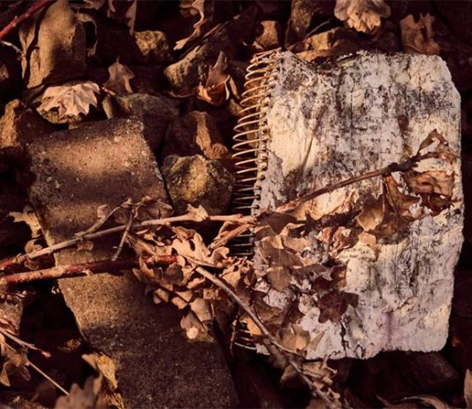 Diarios de Campo: Animales de experimentación y el límite de la ceguera Diarios de campo