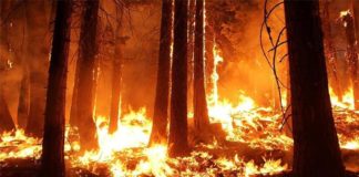 Calentamiento global: El mes pasado fue el septiembre más cálido registrado en la Tierra Los grandes incendios aumentan por el calentamiento global