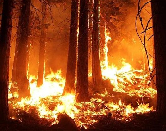 Calentamiento global: El mes pasado fue el septiembre más cálido registrado en la Tierra Los grandes incendios aumentan por el calentamiento global