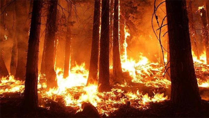 Los grandes incendios aumentan por el calentamiento global