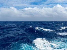 El agua de mar podría haber proporcionado el fósforo necesario para la vida primigenia El metal de las plantas de carbón chinas termina en el Océano Pacífico