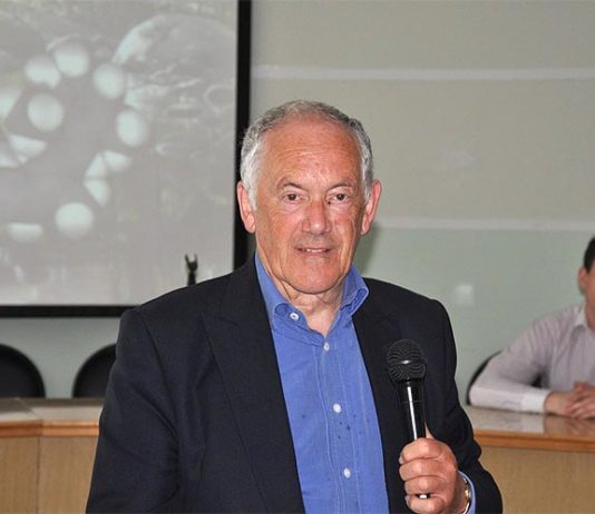 “¿Qué es la química?”, de Peter Atkins: Ofrece una visión general y nada complaciente Peter Atkins, químico británico