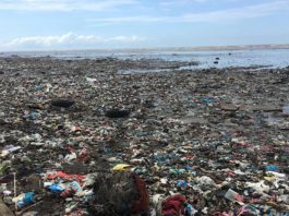 EEUU es una de las principales fuentes de contaminación plástica costera Playa de Panamá llena de contaminación plástica