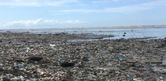 EEUU es una de las principales fuentes de contaminación plástica costera Playa de Panamá llena de contaminación plástica