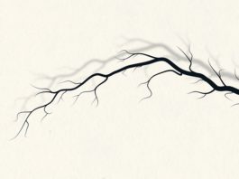 «La bruja de Ravensworth», de George Brewer: entre la tradición y el horror gótico