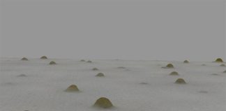 Las bacterias sociales Myxo construyen refugios contra el hambre Cuando la comida escasea, los miembros de una especie de bacterias sociales que habita en los bosques se unen para construir estructuras llamadas cuerpos fructíferos para sobrevivir hasta que la comida esté más disponible