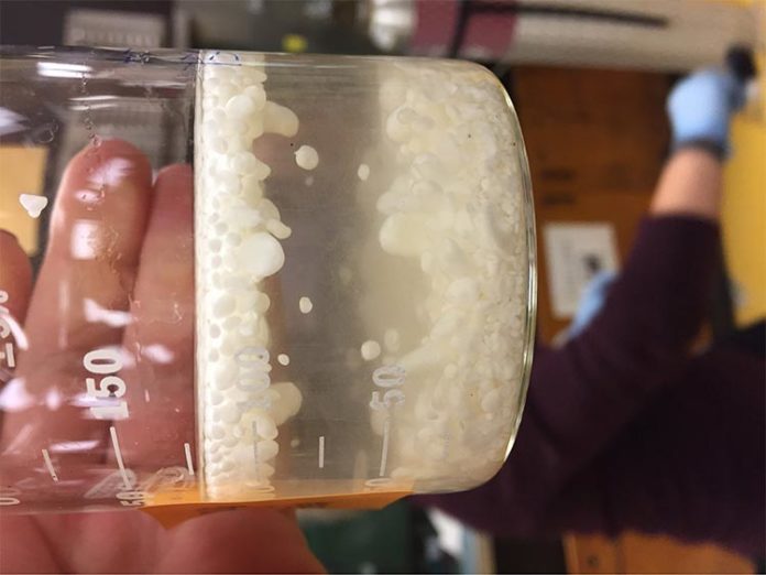 El material de calcita blanda flotando en el agua El material de calcita blanda flotando en el agua