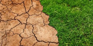 Un calentamiento de 2°C liberaría 230 mil millones de toneladas de carbono del suelo Un calentamiento de 2°C liberaría 230 mil millones de toneladas de carbono del suelo