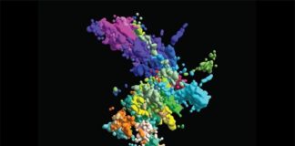 Los cromosomas tienen un aspecto distinto del que crees Estructura de los cromosomas: Esta imagen multicolor de cromatina se creó mediante hibridación in situ de fluorescencia multiplexada y microscopía de superresolución