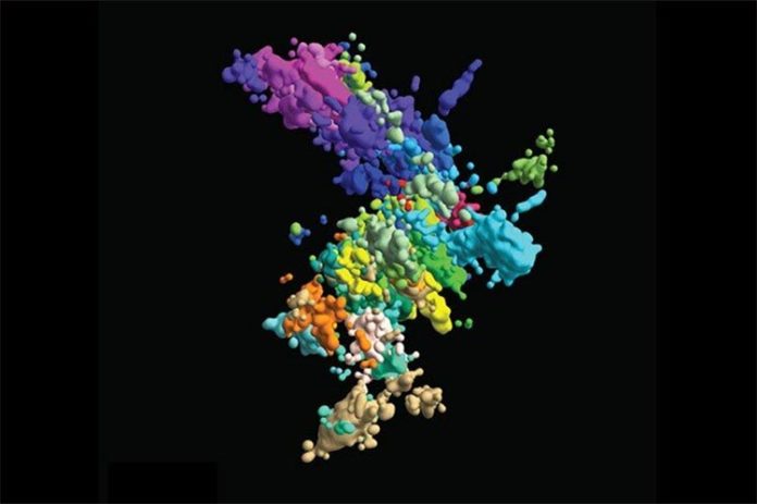 Estructura de los cromosomas: Esta imagen multicolor de cromatina se creó mediante hibridación in situ de fluorescencia multiplexada y microscopía de superresolución