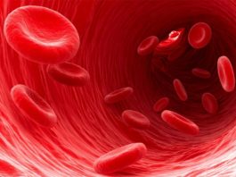 Tratan la metástasis pulmonar con nanopartículas en los glóbulos rojos Tratan la metástasis pulmonar con nanopartículas en los glóbulos rojos