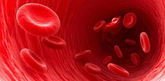 Tratan la metástasis pulmonar con nanopartículas en los glóbulos rojos Tratan la metástasis pulmonar con nanopartículas en los glóbulos rojos