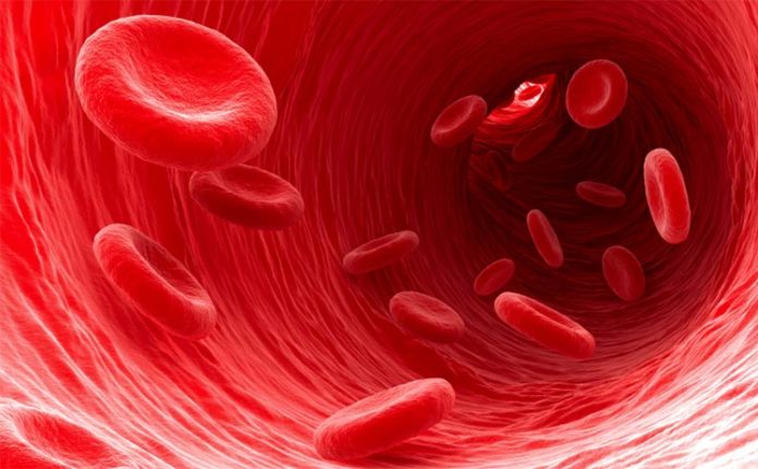 Tratan la metástasis pulmonar con nanopartículas en los glóbulos rojos