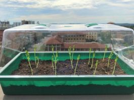 Un suelo de hidrogel podría transformar la agricultura Suelo de hidrogel