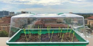 Un suelo de hidrogel podría transformar la agricultura Suelo de hidrogel