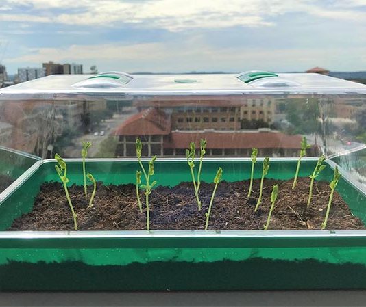 Un suelo de hidrogel podría transformar la agricultura Suelo de hidrogel