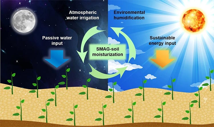 El suelo de hidrogel extrae agua del aire durante los períodos más fríos y húmedos de la noche y luego la libera cuando se activa con la energía solar durante el día