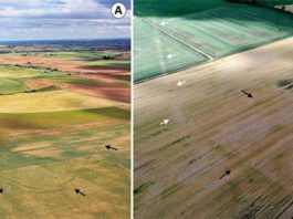 Descubiertos 66 nuevos campamentos romanos de la conquista de Hispania Fotografías aéreas del campamento de Tortolondro, la calzada romana y el campamento de Quintanilla de Riofresno