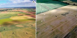 Descubiertos 66 nuevos campamentos romanos de la conquista de Hispania Fotografías aéreas del campamento de Tortolondro, la calzada romana y el campamento de Quintanilla de Riofresno