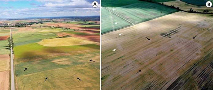 Fotografías aéreas del campamento de Tortolondro, la calzada romana y el campamento de Quintanilla de Riofresno