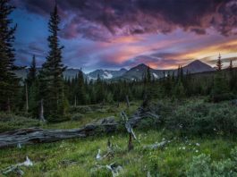 Las montañas de Colorado se recuperan de la lluvia ácida Los prados, bosques y cordilleras forman los altos paisajes alpinos de Niwot Ridge en las Montañas Rocosas, a 40 kilómetros al noroeste de Boulder, Colorado, que se recuperan de la lluvia ácida