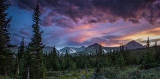 Las montañas de Colorado se recuperan de la lluvia ácida Los prados, bosques y cordilleras forman los altos paisajes alpinos de Niwot Ridge en las Montañas Rocosas, a 40 kilómetros al noroeste de Boulder, Colorado, que se recuperan de la lluvia ácida