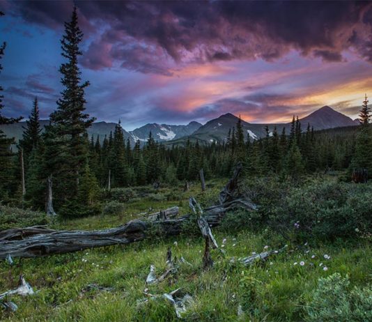 Las montañas de Colorado se recuperan de la lluvia ácida Los prados, bosques y cordilleras forman los altos paisajes alpinos de Niwot Ridge en las Montañas Rocosas, a 40 kilómetros al noroeste de Boulder, Colorado, que se recuperan de la lluvia ácida