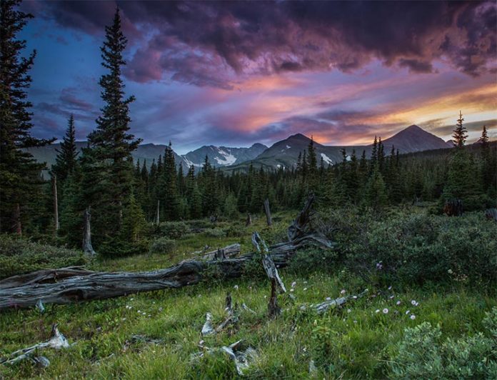 Los prados, bosques y cordilleras forman los altos paisajes alpinos de Niwot Ridge en las Montañas Rocosas, a 40 kilómetros al noroeste de Boulder, Colorado, que se recuperan de la lluvia ácida Los prados, bosques y cordilleras forman los altos paisajes alpinos de Niwot Ridge en las Montañas Rocosas, a 40 kilómetros al noroeste de Boulder, Colorado, que se recuperan de la lluvia ácida