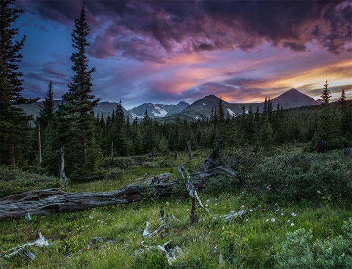 Los prados, bosques y cordilleras forman los altos paisajes alpinos de Niwot Ridge en las Montañas Rocosas, a 40 kilómetros al noroeste de Boulder, Colorado, que se recuperan de la lluvia ácida