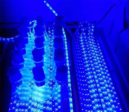 Nueva vía para la síntesis directa de combustibles verdes Combustibles verdes: La configuración de laboratorio de la incubadora de luz muestra dos configuraciones de luz azul experimentales diferentes