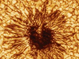 El telescopio Inouye libera su primera imagen a alta resolución de una mancha solar Inouye libera su primera imagen a alta resolución de una mancha solar