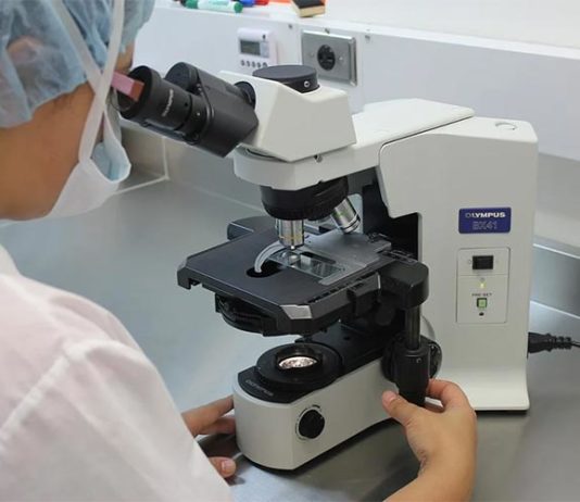 Identifican una molécula que podría ser clave para acabar con la calvicie