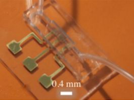 Logran detectar los anticuerpos del COVID-19 en 10 segundos Imagen del chip de prueba para detectar anticuerpos del COVID-19 obtenida mediante impresión 3D de nanopartículas por chorro de aerosol