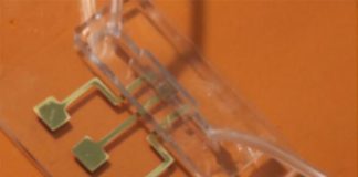 Logran detectar los anticuerpos del COVID-19 en 10 segundos Imagen del chip de prueba para detectar anticuerpos del COVID-19 obtenida mediante impresión 3D de nanopartículas por chorro de aerosol