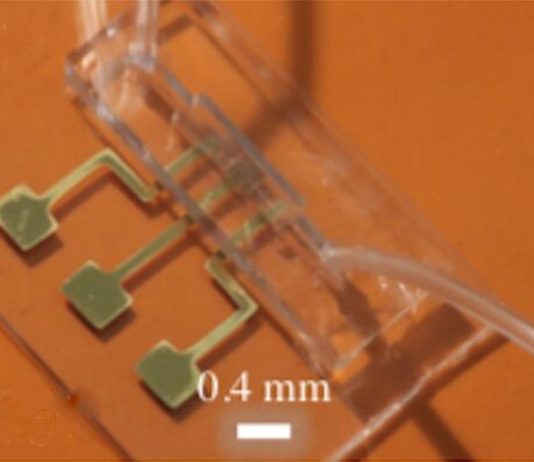 Logran detectar los anticuerpos del COVID-19 en 10 segundos Imagen del chip de prueba para detectar anticuerpos del COVID-19 obtenida mediante impresión 3D de nanopartículas por chorro de aerosol