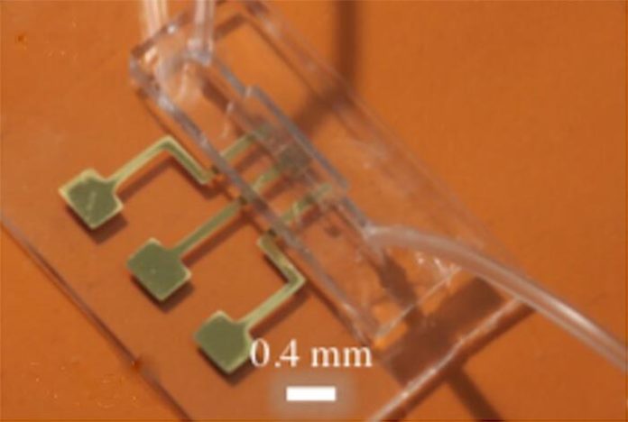 Imagen del chip de prueba para detectar anticuerpos del COVID-19 obtenida mediante impresión 3D de nanopartículas por chorro de aerosol Imagen del chip de prueba para detectar anticuerpos del COVID-19 obtenida mediante impresión 3D de nanopartículas por chorro de aerosol